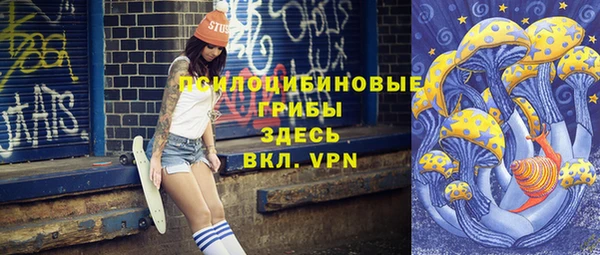 дмт Ладушкин