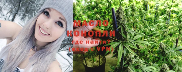 дмт Ладушкин