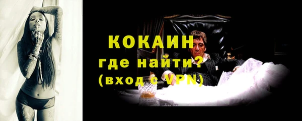 гидра Лагань