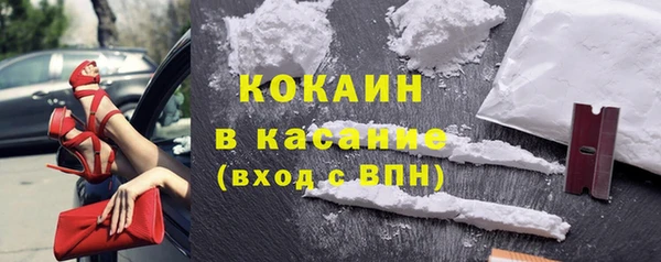 гидра Лагань