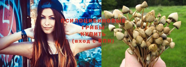 дмт Ладушкин