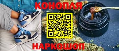 сатива Обнинск