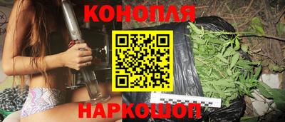 сатива Обнинск