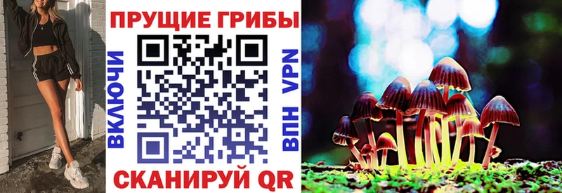 даркнет сайт  Благовещенск  Псилоцибиновые грибы MAGIC MUSHROOMS 